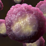 Identificato il ‘pedale’ molecolare che aziona il freno di vari tipi di tumore