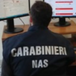 NAS Firenze: canile comunale di Prato, un arresto per falso e peculato
